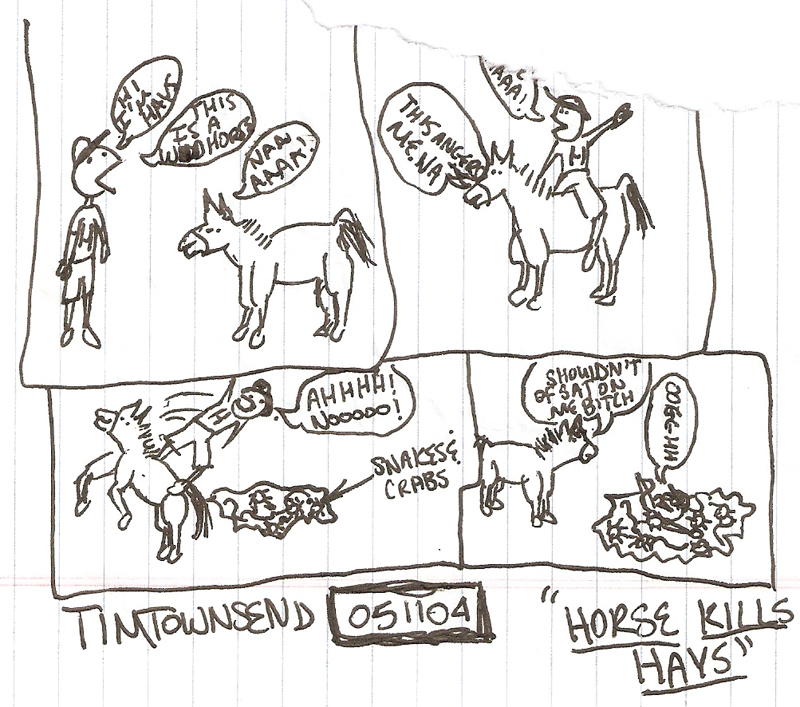 horse kills hays