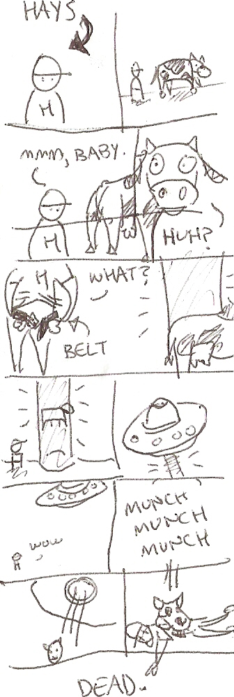 hays meets a cow
