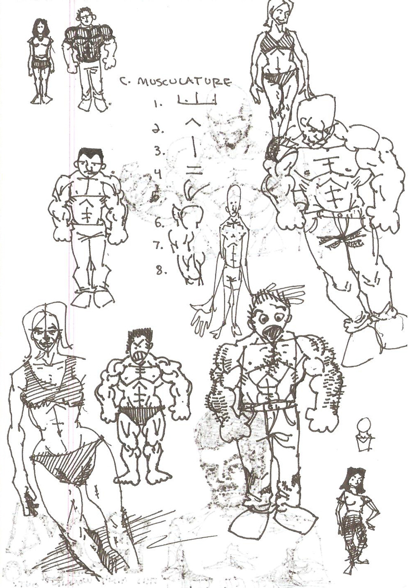 muscles
