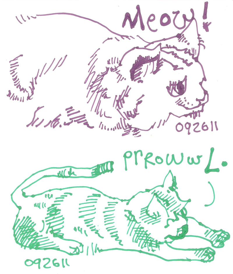 cats from life