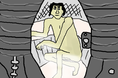 the fly