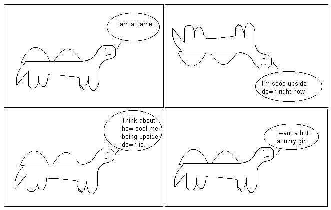camels