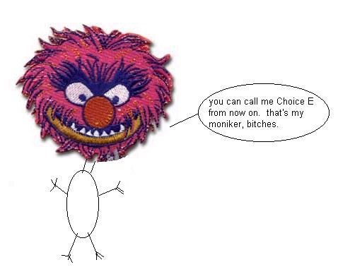 choice E